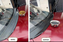 Pack de 2 Restaurador de plásticos de Carro - Pantera