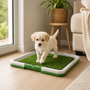 INODORO PORTÁTIL PET TOILET PARA PERROS