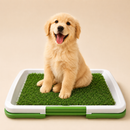 INODORO PORTÁTIL PET TOILET PARA PERROS